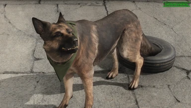 More Names for Dogmeat at Fallout 4 Nexus - Mods and community