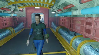 Vault 81 - 4