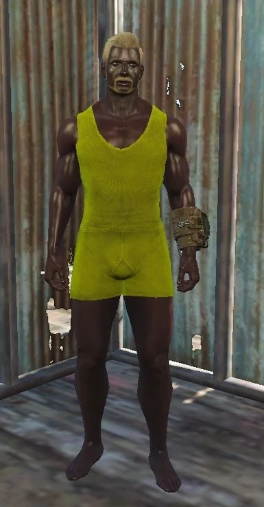 Standalone Colored Underwear at Fallout 4 Nexus - Mods and community