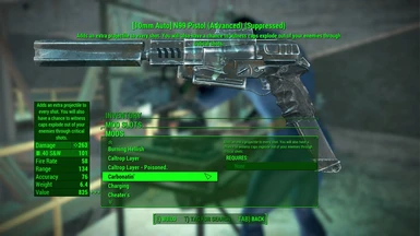 Fallout 4 Custom Race