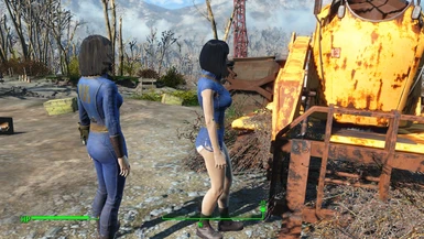 lovers labs fallout 4