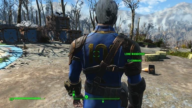 Lone Wanderer Follower At Fallout 4 Nexus Mods And Community