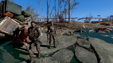 Caravan Guards Open Carry at Fallout 4 Nexus - Mods and community