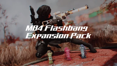 M84 Flashbang - Expansion Pack