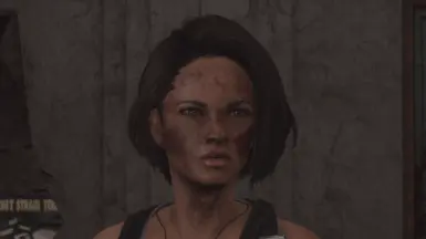 Rakun's Jill Valentine Preset at Fallout 4 Nexus - Mods and community