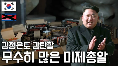 Armament  - Ammunition and Ballistics Overhaul  (Korean translation)