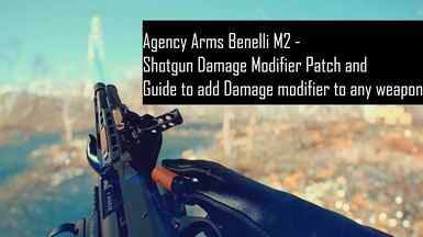 Agency Arms Benelli M2 - Shotgun Damage Modifier Patch and Guide to add Damage modifier to any weapon