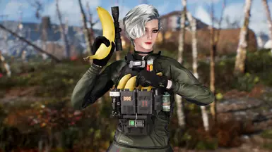 The Banana Gun at Fallout 4 Nexus - Mods and community