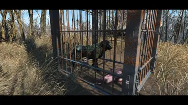 Dogmeat x Strong Armor - Teddy