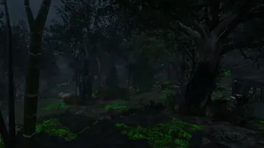 A Forest Retextured At Fallout 4 Nexus - Mods And Community