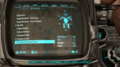 Alt version display in pip boy