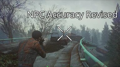 NPC Accuracy Revised