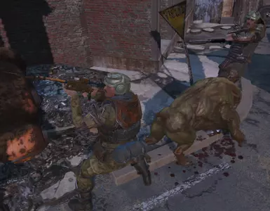 proof of weapon mod compatibility