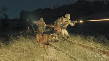 Raider Plugin