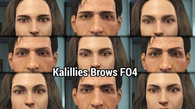 Kalilies Brows FO4 Edition
