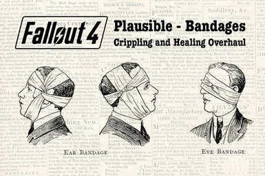 Plausible Bandages