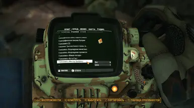 Example of translate in pip-boy menu 3