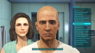 Companion Appearance V2 at Fallout 4 Nexus - Mods and community
