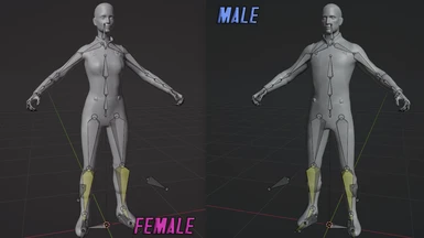 Female and Male modes