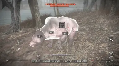 Legendary Bear