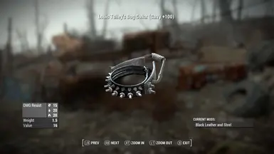 Louis Collar 2