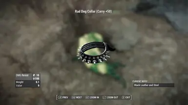 Rad Collar