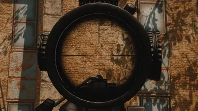 Trijicon Optical (4x Magnification)