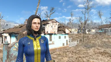 Classic Vault Suit Texture 1k and 2k Versions at Fallout 4 Nexus - Mods ...