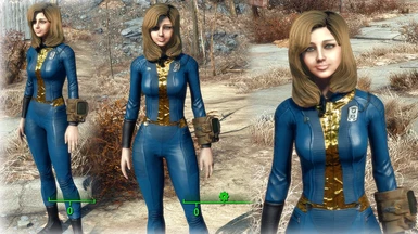 Merlindos Collection Presets 62 presets at Fallout 4 Nexus - Mods and ...