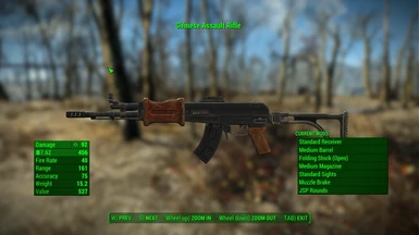 Lore Friendly Weapon Names - Rifles Rebirth