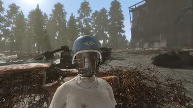 Vault Rioter Helmet