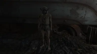 Raider