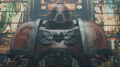 The Space Marine - The Void Marine