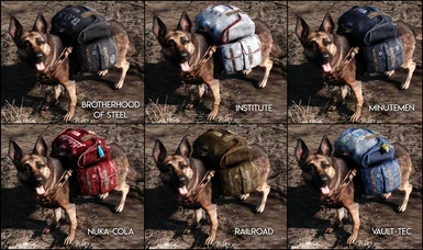 Large Backpacks - Colors