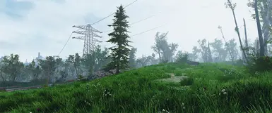 A Splash of Pine Trees - Commonwealth Pine Tree Addon at Fallout 4 ...