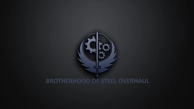 Brotherhood Of Steel Overhaul v1.0 CN