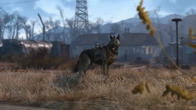 Dogmeat approved Costumes