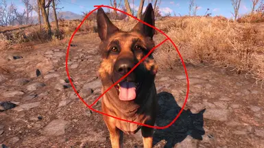 Move Dogmeat Encounter