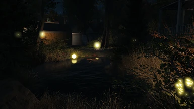 Pond By Night