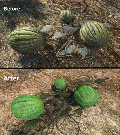 Melons comparison