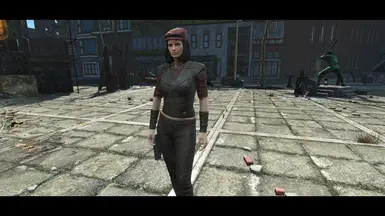 Diamond City Outskirts - Piper