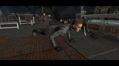 The Prydwen - Soldier