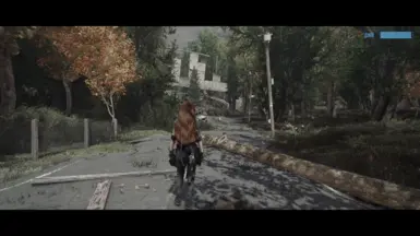 Fo4 - 3rdP Idle - Friendly 1