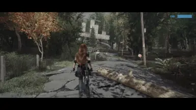 Fo4 - 3rdP Idle - Irritated 1
