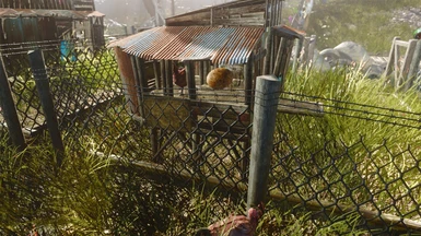 Chickens Lay Eggs for Sim Settlements 2 - Tiny Living