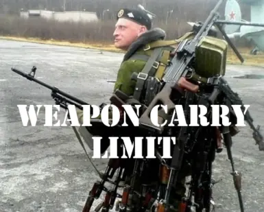 Weapon Carry Limit at Fallout 4 Nexus - Mods and community