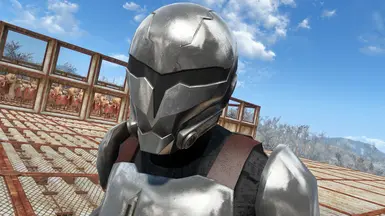 Female Crusader Mandalorian (More accuracte preview of Mandalorian Paint))