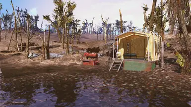 Camp