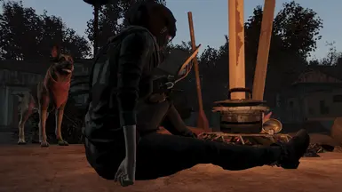 That'll Do, Dogmeat. That'll Do.