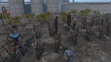 NOT included, how I made and gave the weak settlers OP equipment